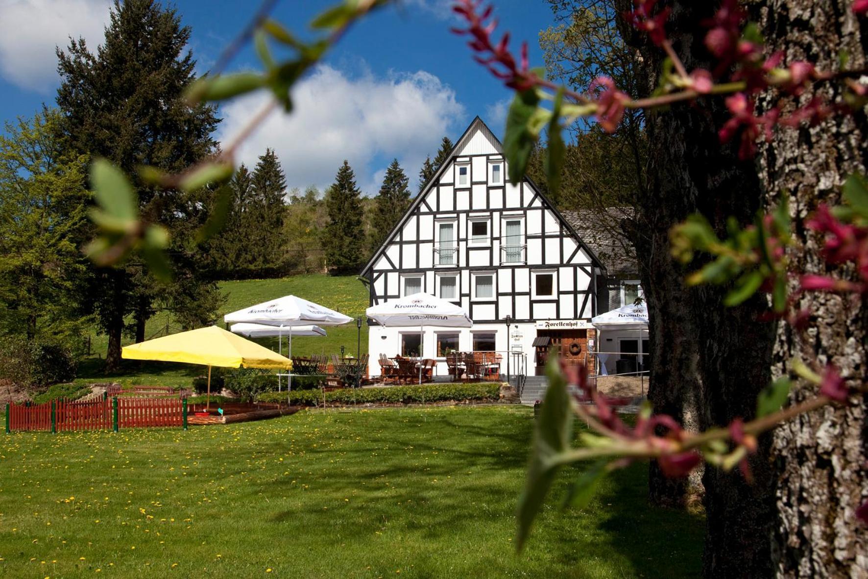 Forellenhof Wald- Und Wiesenquartier Bad Berleburg Exterior photo